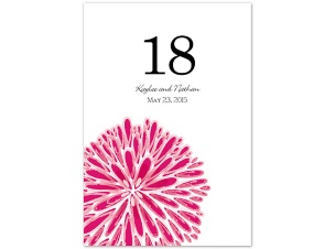 Burst of Color - Watermelon - Table Number