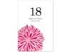 Burst of Color - Watermelon - Table Number