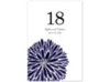 Burst of Color - Lapis - Table Number