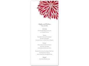 Burst of Color - Apple - Menu Card