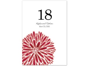 Burst of Color - Apple - Table Number
