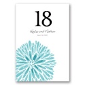 Burst of Color - Pool - Table Number