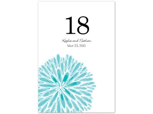 Burst of Color - Pool - Table Number