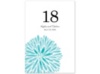 Burst of Color - Pool - Table Number