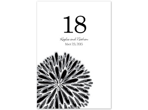 Burst of Color - Black - Table Number