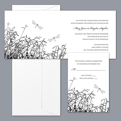 Dragonfly Beauty - Black Invitation