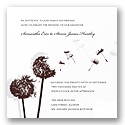 Delicate Dandelion - Chocolate Invitation
