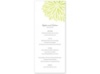 Burst of Color - Key Lime - Menu Card