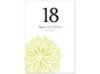 Burst of Color - Key Lime - Table Number