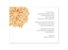 Burst of Love - Tangerine - Multi-Purpose Card