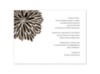 Burst of Color - Chocolate - Multi-Purpose Card