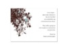 Shades of Tuscany - Chocolate and Pool Multi-Purpose Card