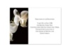 Delicate Orchid - Multi-Purpose Card