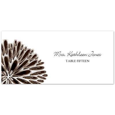 Burst of Color - Chocolate - Escort Card