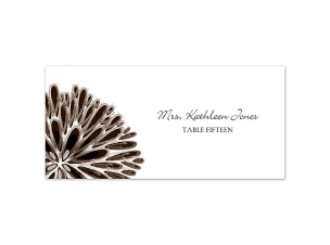 Burst of Color - Chocolate - Escort Card