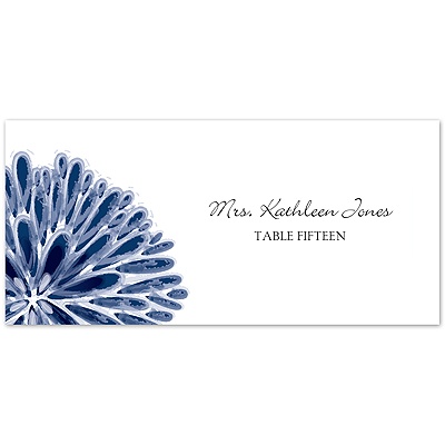 Burst of Color - Marine - Escort Card