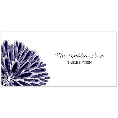 Burst of Color - Lapis - Escort Card