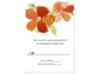 American Dream - Tangerine Response Card