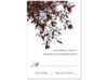 Shades of Tuscany - Chocolate and Pool Response Card