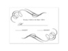 Photo and Swirls - Black  - Response Card and Envelope