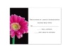 Delicate Daisy - Response Card and Envelope