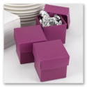 Blank Two-Piece Favor Boxes - Grapevine