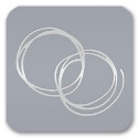 Rings Seals