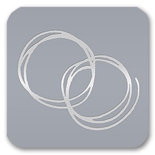 Rings Seals