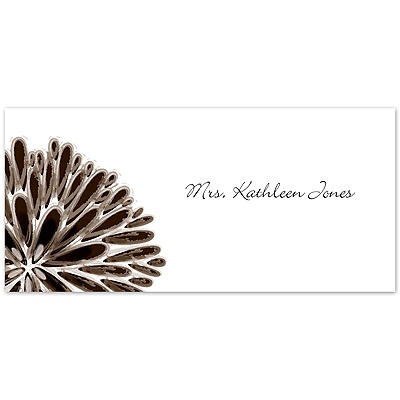 Burst of Color - Chocolate - Place Card