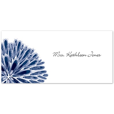 Burst of Color - Marine - Place Card