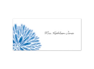 Burst of Color - Cornflower - Place Card