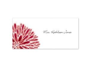 Burst of Color - Apple - Place Card