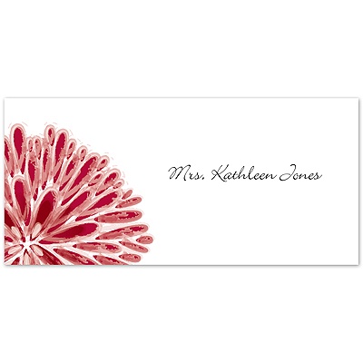 Burst of Love - Apple - Place Card