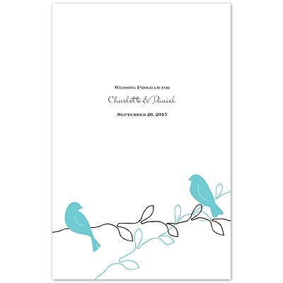 Love Birds - Pool - Program