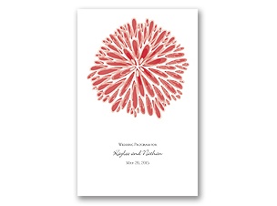 Burst of Color - Guava - Program
