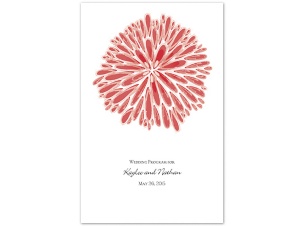 Burst of Color - Guava - Program