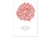 Burst of Color - Guava - Program