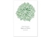 Burst of Color - Clover - Program