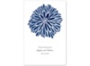 Burst of Color - Marine - Program