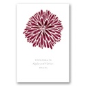 Burst of Color - Apple - Program