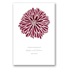 Burst of Color - Apple - Program