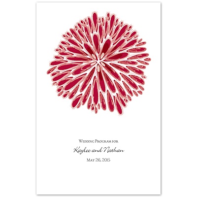 Burst of Color - Apple - Program