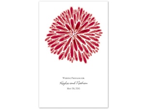 Burst of Color - Apple - Program