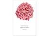 Burst of Color - Apple - Program