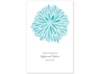 Burst of Color - Pool - Program