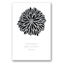 Burst of Color - Black - Program