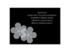 Floral Photo - Black - Reception Card