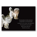 Delicate Orchid - Reception Card