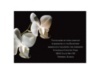 Delicate Orchid - Reception Card