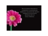 Delicate Daisy - Reception Card